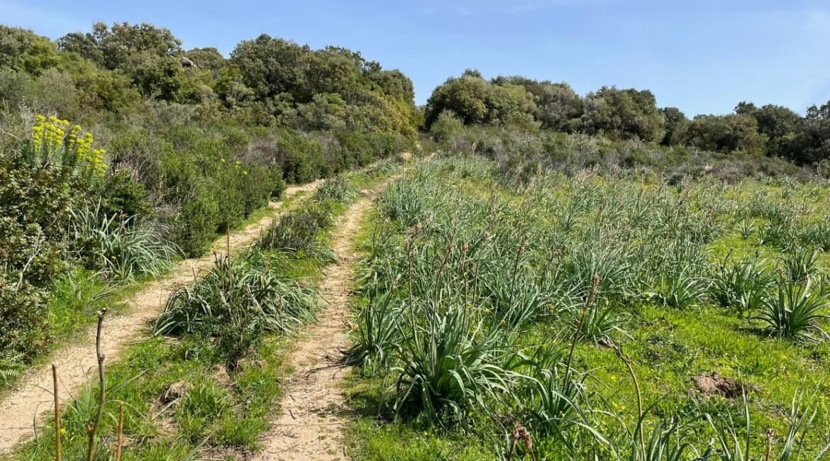 vendita-terreno-s.antonio-gallura-1-1240x720