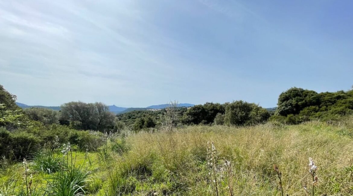 vendita-terreno-s.antonio-gallura-10-1240x720