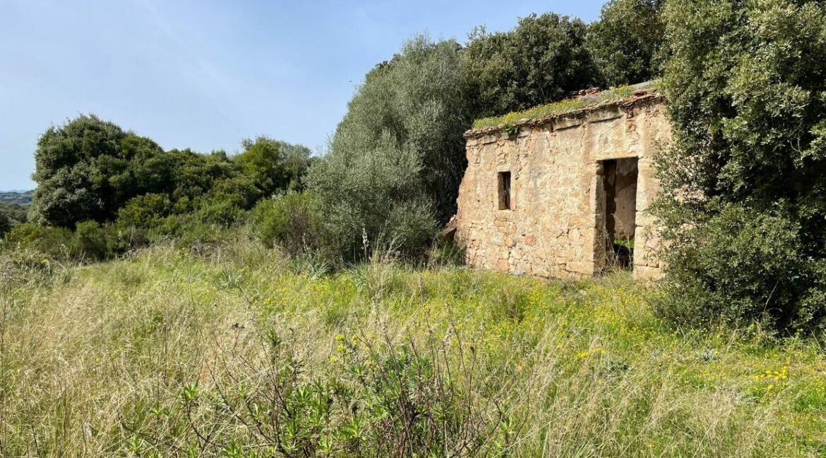 vendita-terreno-s.antonio-gallura-13-1240x720