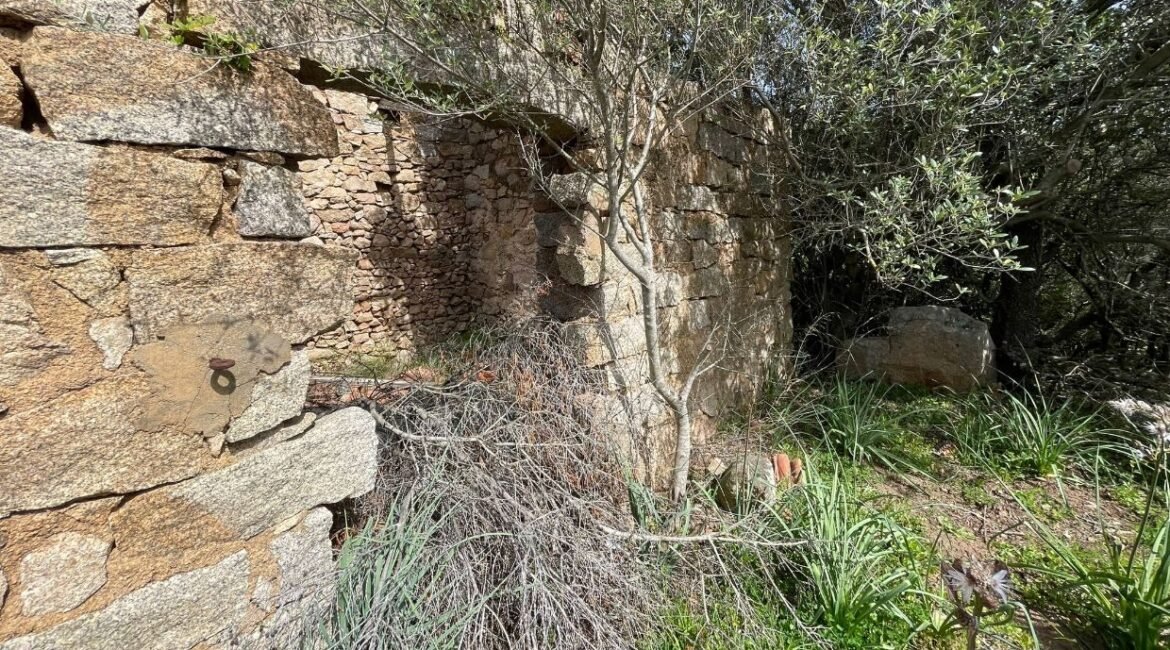 vendita-terreno-s.antonio-gallura-18-1240x720