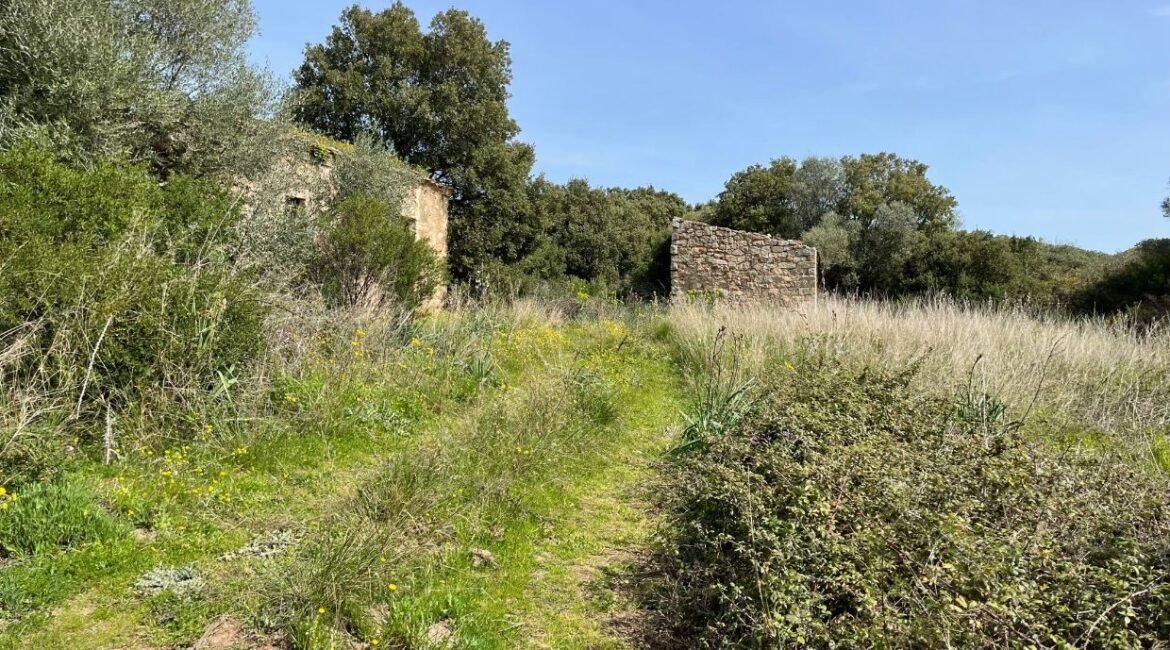 vendita-terreno-s.antonio-gallura-2-1240x720