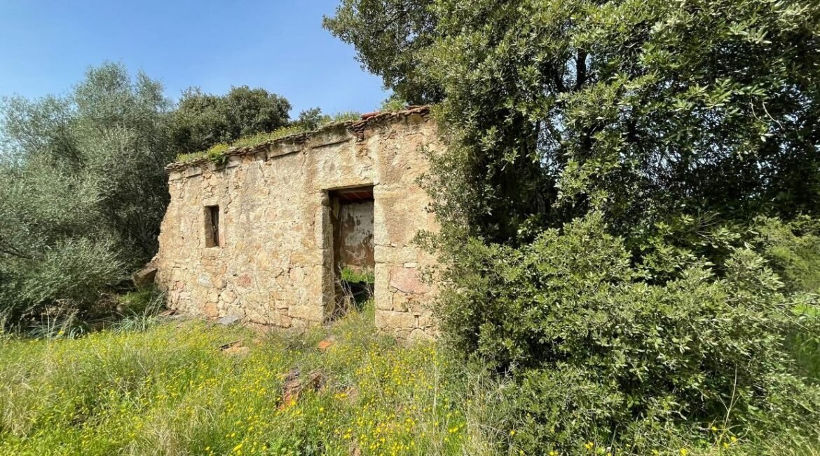 vendita-terreno-s.antonio-gallura-5-1240x720