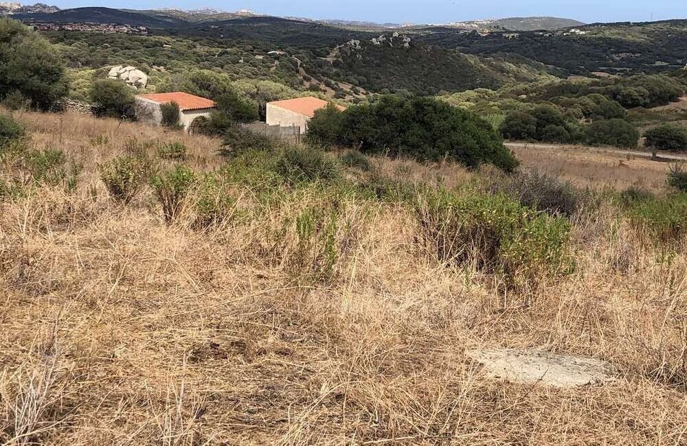 vendita_terreno_vista_mare_nord_sardegna_5