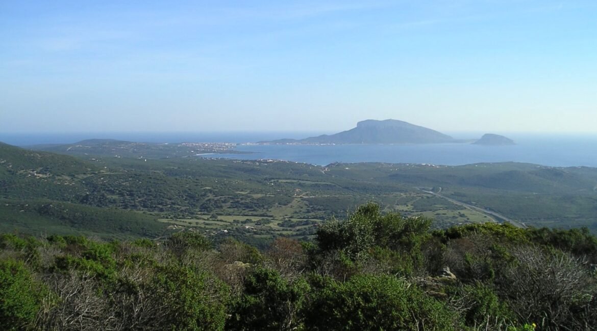 Sardegna 4