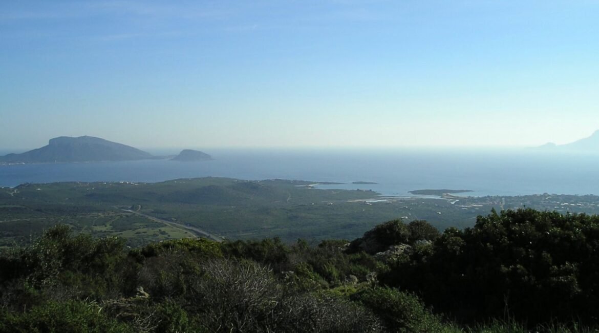 Sardegna 8