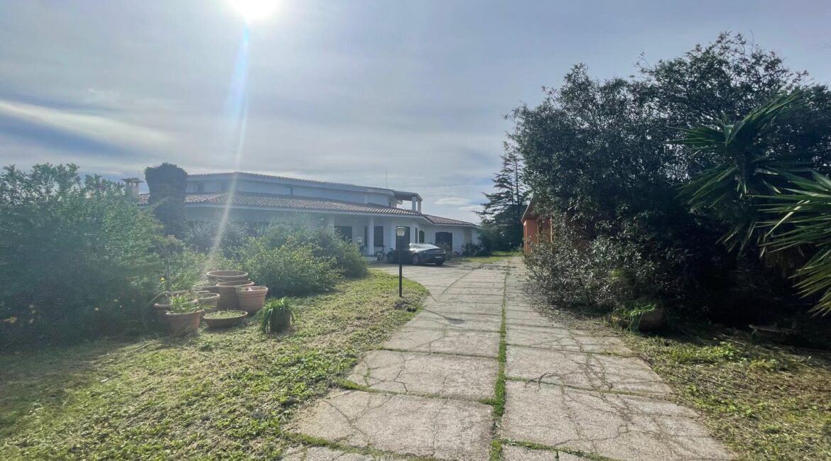 WhatsApp Image 2026-02-24 at 17.20.13