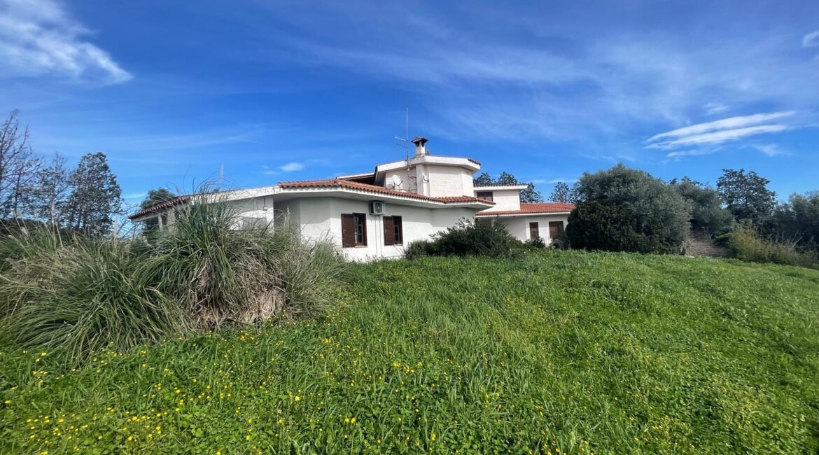 WhatsApp Image 2026-02-24 at 17.20.14 (1)