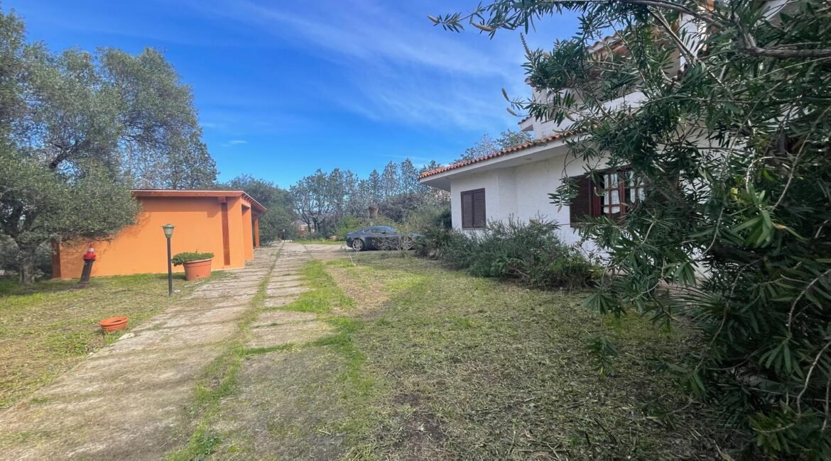 WhatsApp Image 2026-02-24 at 17.20.14 (2)