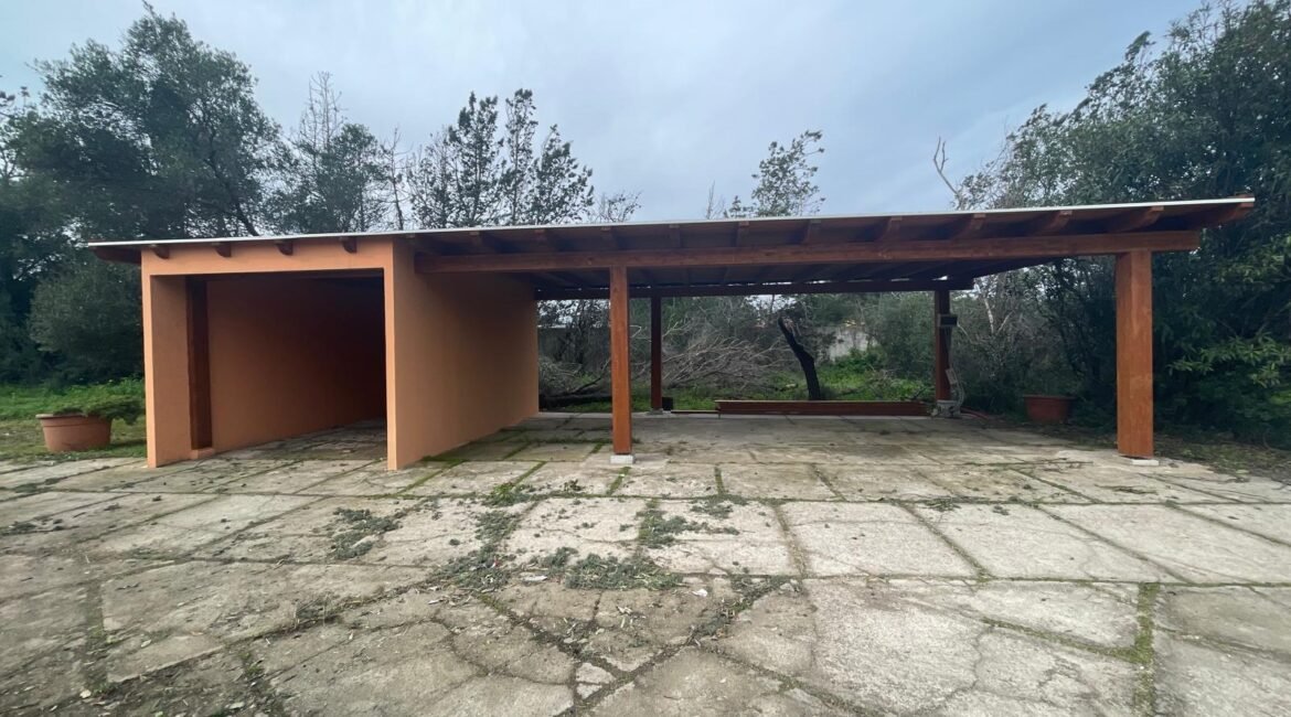 WhatsApp Image 2026-02-24 at 17.20.14 (36)