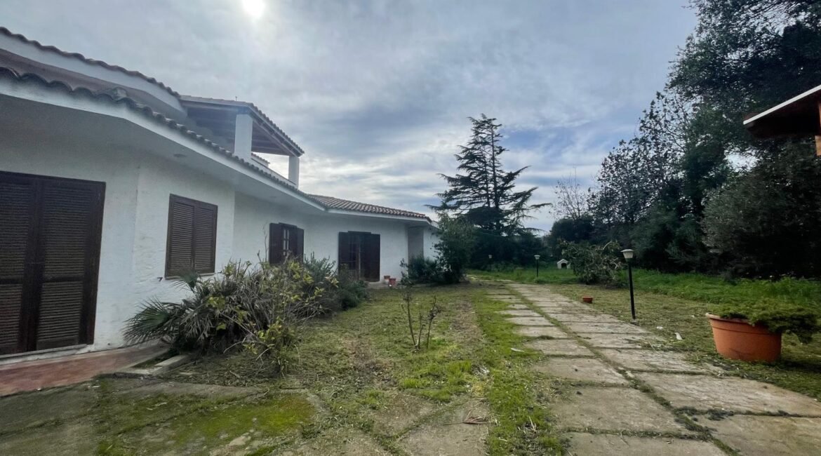 WhatsApp Image 2026-02-24 at 17.20.14 (37)