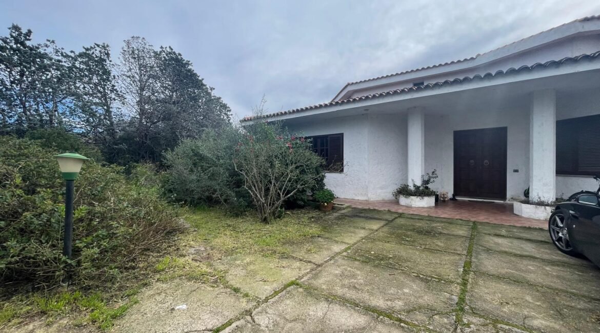 WhatsApp Image 2026-02-24 at 17.20.14 (38)