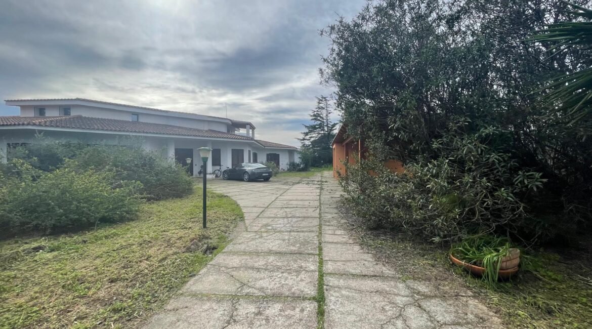 WhatsApp Image 2026-02-24 at 17.20.14 (41)