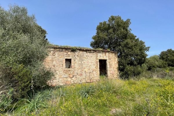 vendita-terreno-s.antonio-gallura-3-1240x720